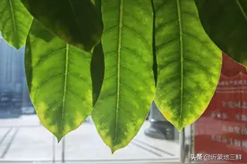 舔、咂咂、咪溜，看到这三个词，你首先想到了啥？图片