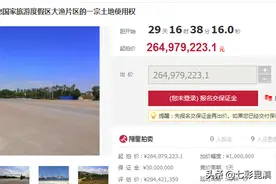 投资30多亿的项目已烂尾 云南传奇珠宝大王又一项目被2.6亿拍卖图片