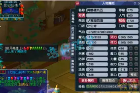 梦幻西游：175三攻队的化生寺，13+8硬件千敏，辅助抢速我全能图片