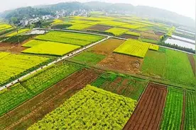 地价涨会推动房价高，地价为什么会“上涨”呢？图片