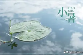 小暑，赏析唐代独孤及的《答李滁州题庭前石竹花见寄》图片