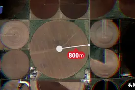 600万美国农民靠什么养活3亿人，地广人稀和大农场是关键图片