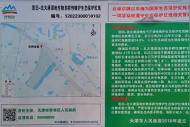 触及生态保护红线? 天津团泊33个项目被点名停售!图片