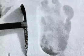 雪人究竟是什么？有人潜入珠穆朗玛峰的寺庙里，偷出一根雪人手指图片
