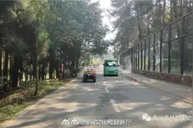 久等了，贵州森林野生动物园终于开园啦！图片