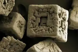 40张活久未见的照片，坦克也有消音器，人体血管居然那么多图片