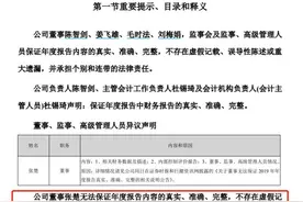 聚力文化高管内讧：一董事无法保证年报真实性，监管发函图片