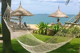 海南、沙巴、曼谷、新加坡，哪里的海南鸡饭更好吃？图片