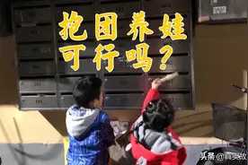 在上海，外地妈妈们抱团养娃图片