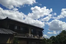 随心所欲游日本——京都（上）图片