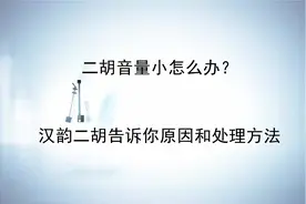 二胡音量小怎么办？汉韵二胡告诉你原因和处理方法图片