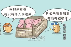 当妈后再忙，也别忘了这6项女性健康检查！自己的身体要爱护哦图片
