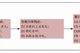 下颈椎后路椎弓根钉置钉：人工智能发展将如何提高治疗效果图片