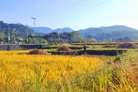 农村小伙有27万粉丝，就拍自己的日常生活，每月都比打工强图片