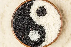 当孔子遇上佛祖，太上老君笑而不语图片