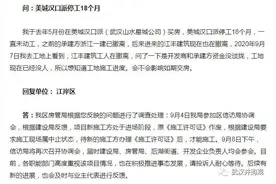 汉口派股东申请财产保全：查封土地使用权，此前已停工18个月图片