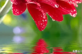 两性关系中，谁越主动，谁就越在乎，谁就爱得越深吗？图片