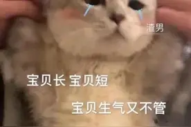沙雕表情包第二十期（喵喵喵）图片