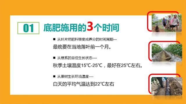 葡萄底肥什么时候施？怎么施？不做好这几点，难怪遭遇大小年
