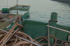 跟老船长出海到神秘钓点，渔获狂拉不断，卖了一千多块钱图片