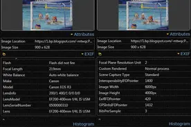 从奥运会图片中确认：佳能R3为2400万像素，你会感到失望吗？图片