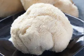 猴头菇怎么做才最好吃？教你一种营养美味的做法，胃不好的快收藏视频封面