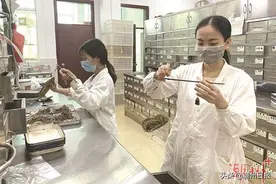 记者对话潮州名中医 为潮州中医药发展“把脉开方”图片