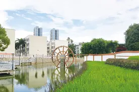 恭喜！广西迎来8所“新大学”，其中4所都是公办，本地考生有福了图片