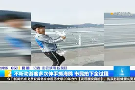 女子不听劝 多次伸手抓海鸥 市民拍下全过程视频封面