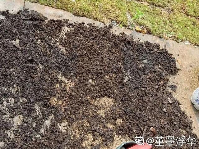 养分含量超高的营养土，自己在家也能做，省下一大笔 买花钱