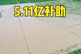 5.11亿资金补助河南，受灾和绝收农田都有，看看每亩补助多少钱？图片