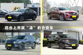 你以为的王者，最后却成了青铜，盘点几款上市就“凉”的合资车图片