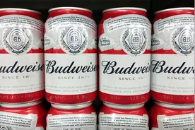 很常见的废品，一吨就能赚2000，为何很少人专门做图片