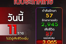 重回两位数！泰国今日新增11例确诊，累计确诊3065例图片