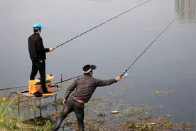 春季钓鱼水底水草多，试试这样钓，简单好用鱼获多，让你过足瘾！图片