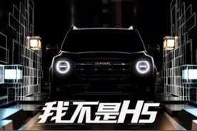 哈弗大狗黑色版实车现身，1.5T可选四驱，配HUD+透明车底技术图片