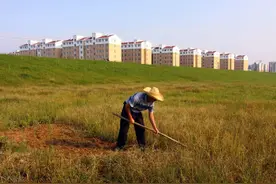 新规出台！宅基地退出必须有偿和自愿图片