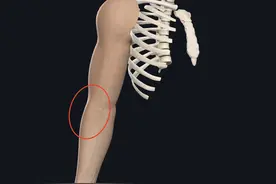 今天咱们继续聊聊，胳膊痛究竟是怎么回事？图片