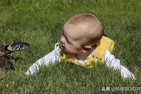 比利时老爸“危险”带娃，搞笑照片赢得无数网友喝彩图片