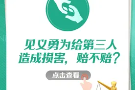 故意逗狗被咬，主人要担责吗？民法典草案这样规定图片