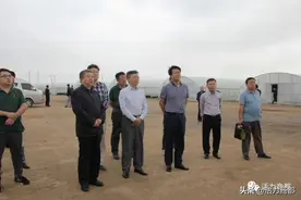 国家农业农村部种业管理司一级巡视员周云龙一行前来我县调研图片