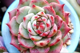 浮生若梦，岁月迁徙，心中欢喜，不曾改变图片