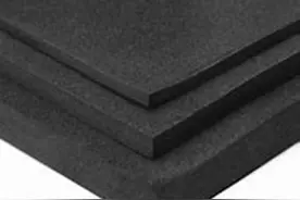 海绵宝宝的真身竟然长这样图片