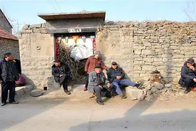 农村俗语“柿子树上一把刀，枣子树上一根棍”啥意思？老话在理吗图片