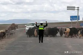 海拔5231米：唐古拉山口的坚守图片