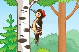 看图写话之啄木鸟图片