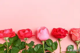 我25岁开始相亲，从期待到麻木，直到29岁改变心态收获一枚好丈夫图片