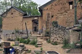 五岁孩童独自生活，半个月自己煮饭，说出愿望让人落泪图片