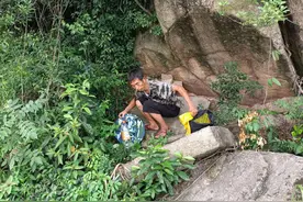 2020年7月5日收割诱蜂箱蜂蜜图片