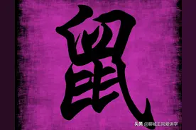 《汉字与十二生肖》：聊聊那些你没听说过的“鼠文化”图片